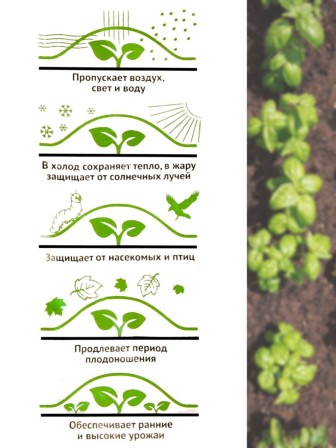 Укрывной материал Спанбонд 60 Премиум 3,2х6 м, 60 г/м.кв
