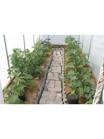 Чудотеплица "Сибирский Агроном" 4 м