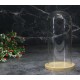 Колпак клош стеклянный на деревянной подставке, цвет орех, 80/185 мм