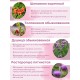 БАД Фитосбор "Фитол-1" при проблемах молочных желез, капсулы 30 шт.