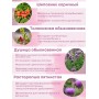 БАД Фитосбор "Фитол-1" при проблемах молочных желез, капсулы 30 шт.
