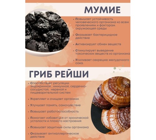 БАД Грибная серия "Рейши с мумиё" для повышения защитных сил организма, 30 капсул БАД Грибная серия "Рейши с мумиё" для повышения защитных сил организма, 30 капсул