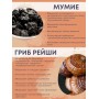 БАД Грибная серия "Рейши с мумиё" для повышения защитных сил организма, 30 капсул