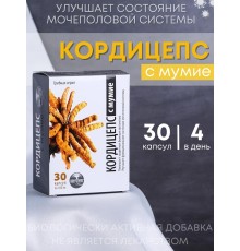 БАД Грибная серия "Кордицепс с мумиё" для мочеполовой системы, 30 капсул