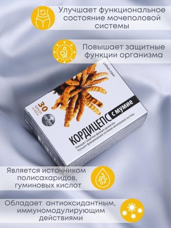 БАД Грибная серия "Кордицепс с мумиё" для мочеполовой системы, 30 капсул