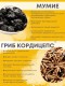 БАД Грибная серия "Кордицепс с мумиё" для мочеполовой системы, 30 капсул