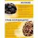 БАД Грибная серия "Кордицепс с мумиё" для мочеполовой системы, 30 капсул