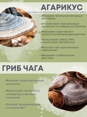 БАД Грибная серия "Агарикус+Чага с мумиё" нормализует обмен веществ, 30 капсул