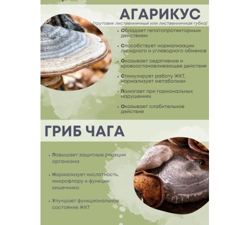 БАД Грибная серия "Агарикус+Чага с мумиё" нормализует обмен веществ, 30 капсул БАД Грибная серия "Агарикус+Чага с мумиё" нормализует обмен веществ, 30 капсул