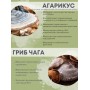 БАД Грибная серия "Агарикус+Чага с мумиё" нормализует обмен веществ, 30 капсул