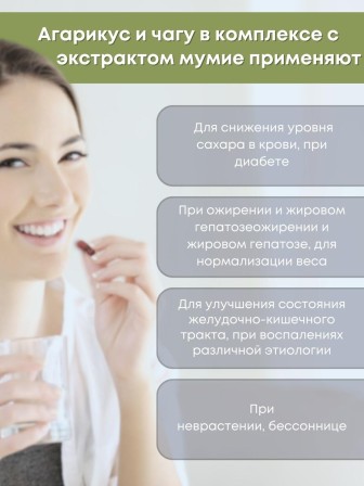 БАД Грибная серия "Агарикус+Чага с мумиё" нормализует обмен веществ, 30 капсул