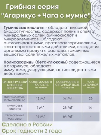БАД Грибная серия "Агарикус+Чага с мумиё" нормализует обмен веществ, 30 капсул