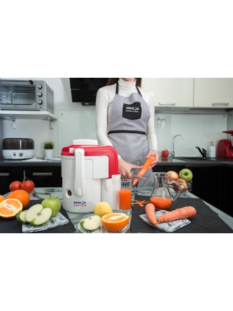 Соковыжималка Аксион СЦ32.02 Джус White