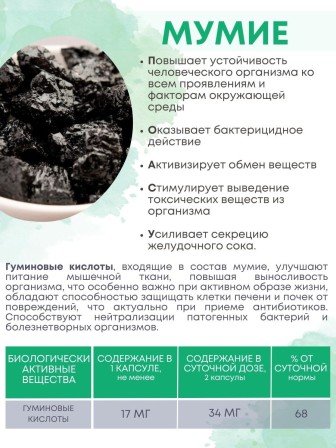 БАД "Мумиё" Алфит Плюс № 60