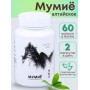 БАД "Мумиё" Алфит Плюс № 60