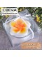 Плавающая свеча "Тропический цветок" 11 см