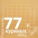 Решетка куриная №11 на 77 ячеек для инкубаторов Несушка 77