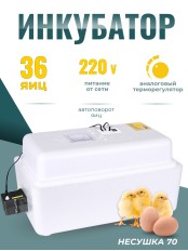 Инкубатор Несушка на 36 яиц 220B, автоматический поворот, аналоговый терморегулятор (арт.70)