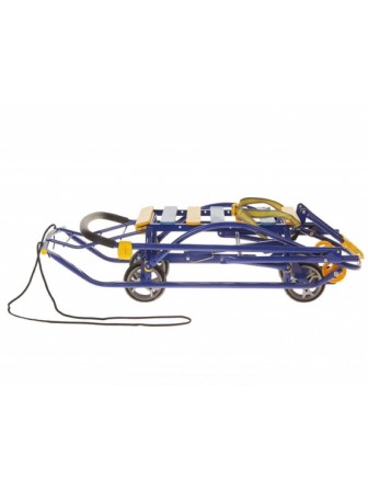 Санки детские Nikki 3 N3/С2 синие