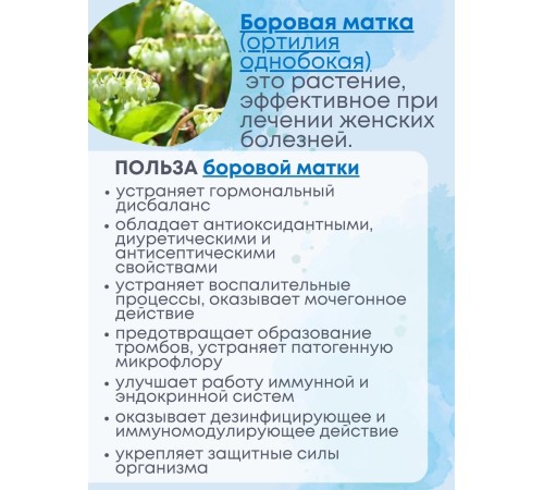 Фитосвечи "Боровая матка" на твердом жире, 10 шт. в блистере, 2 упаковки
