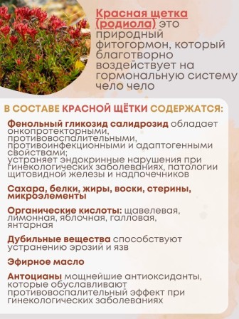 Фитосвечи "Красная щетка" на твердом жире, 10 шт. в блистере, 2 упаковки