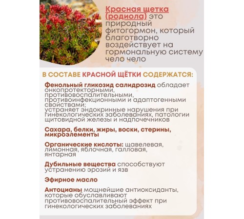 Фитосвечи "Красная щетка" на твердом жире, 10 шт. в блистере, 3 упаковки Фитосвечи "Красная щетка" на твердом жире, 10 шт. в блистере, 3 упаковки