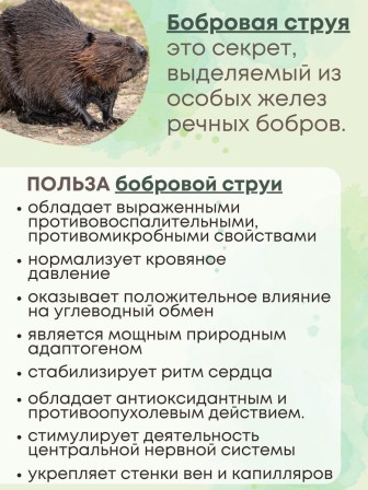 Фитосвечи "С экстрактом бобровой струи" 10 шт. в блистере