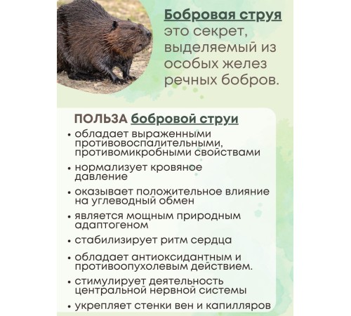 Фитосвечи "С экстрактом бобровой струи" 10 шт. в блистере Фитосвечи "С экстрактом бобровой струи" 10 шт. в блистере