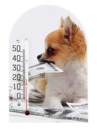 Сувенир "Термометр "Зоо Мир" Чихуахуа с долларом