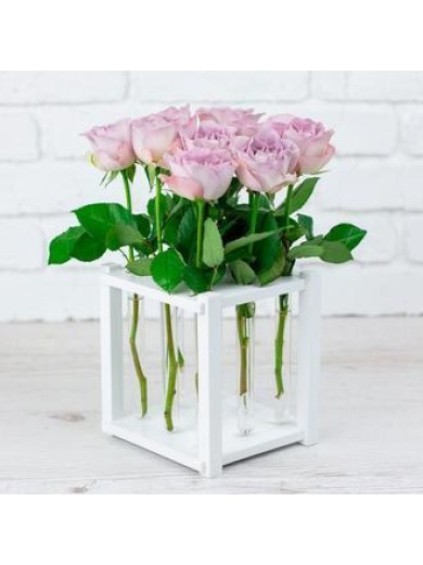 Деревянная подставка с 9 пробирками для специй и декора, цвет белый