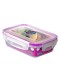 Контейнер пищевой VIOLET 0.5 л с крышкой, прозрачный