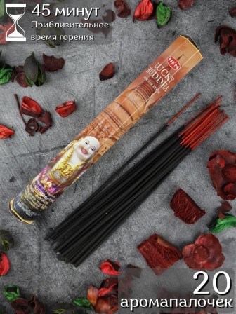 Благовония HEM Хотей (Lucky Buddha), ароматические палочки 20 шт.