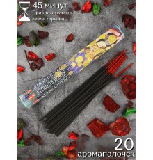 Благовония HEM Привлечение денег (Attracts Money), аромапалочки 20 шт.