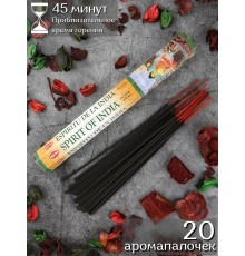 Благовония HEM Дух Индии (Spirit of India), аромапалочки для дома, 20 шт.