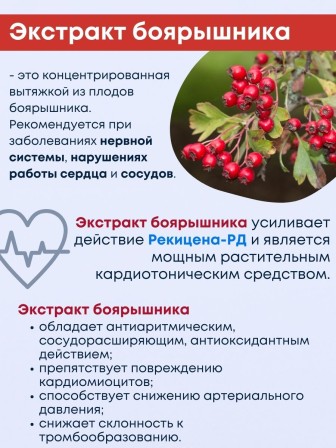 БАД "Рекицен-РД с экстрактом боярышника"