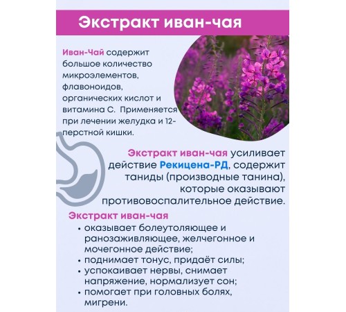 БАД "Рекицен-РД с экстрактом иван-чая" БАД "Рекицен-РД с экстрактом иван-чая"