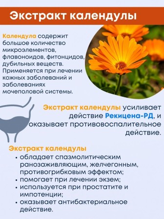 БАД "Рекицен-РД с экстрактом календулы" 90 капсул
