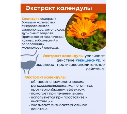 БАД "Рекицен-РД с экстрактом календулы" 90 капсул БАД "Рекицен-РД с экстрактом календулы" 90 капсул