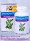 БАД "Рекицен-РД с экстрактом солодки" 