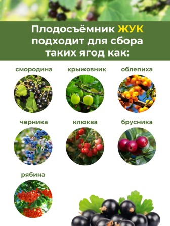 Плодосъёмник Жук Профи с заслонкой для ягод