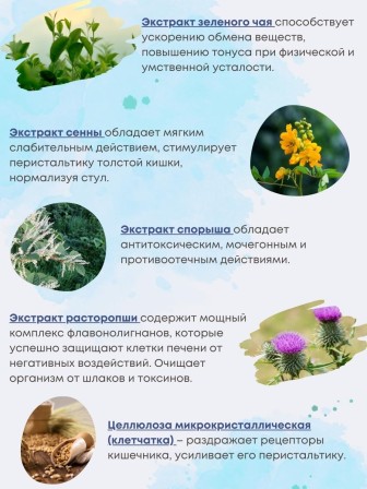 БАД DETOX №60 Алфит Плюс