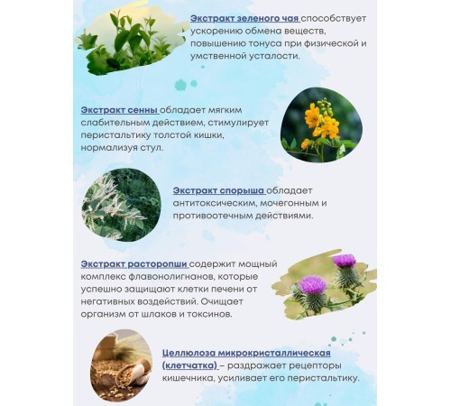 БАД DETOX №60 Алфит Плюс БАД DETOX №60 Алфит Плюс