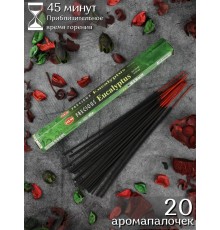 Благовония HEM Драгоценный Эвкалипт (Precious Eucalyptus), аромапалочки 20 шт. в упаковке-шестигранник