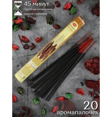 Благовония HEM Драгоценная Корица (Precious Cinnamon) аромапалочки 20 шт. в упаковке-шестигранник