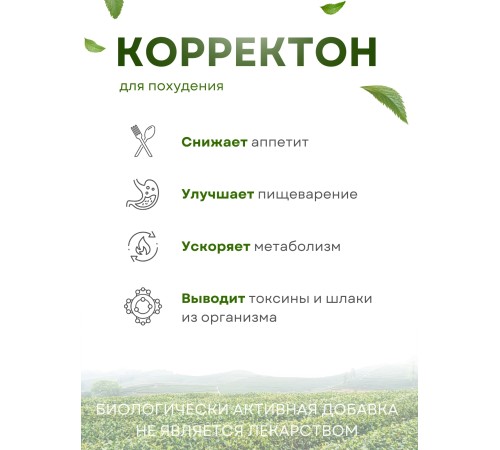 Чай для похудения Соик "Корректон" 20 пакетиков х 2 упаковки