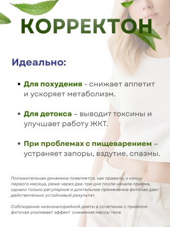 Чай для похудения Соик "Корректон" 20 пакетиков х 2 упаковки