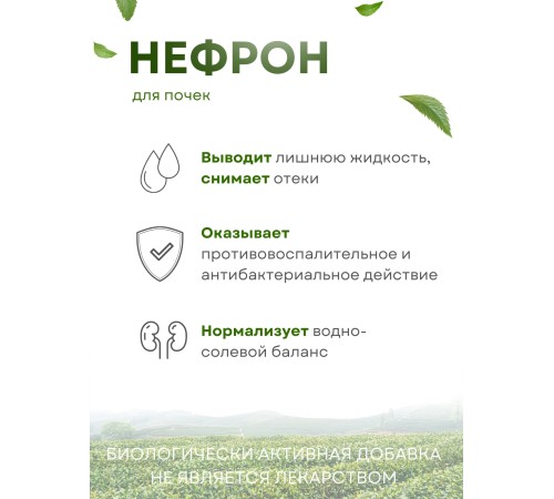 Фиточай Нефрон для почек (чай почечный) в пакетиках 20 шт. х 1,5 гр.х 2 упаковки