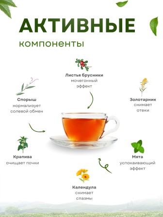 Фиточай Нефрон для почек (чай почечный) в пакетиках 20 шт. х 1,5 гр.х 2 упаковки