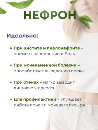 Фиточай Нефрон для почек (чай почечный) 20 пакетиков х 3 шт.
