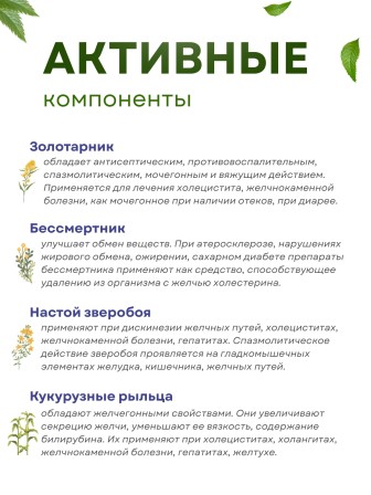 Фитолекс для желчевыводящих путей (чай желчный) 20 пакетиков 1,5 гр. х 3 шт.